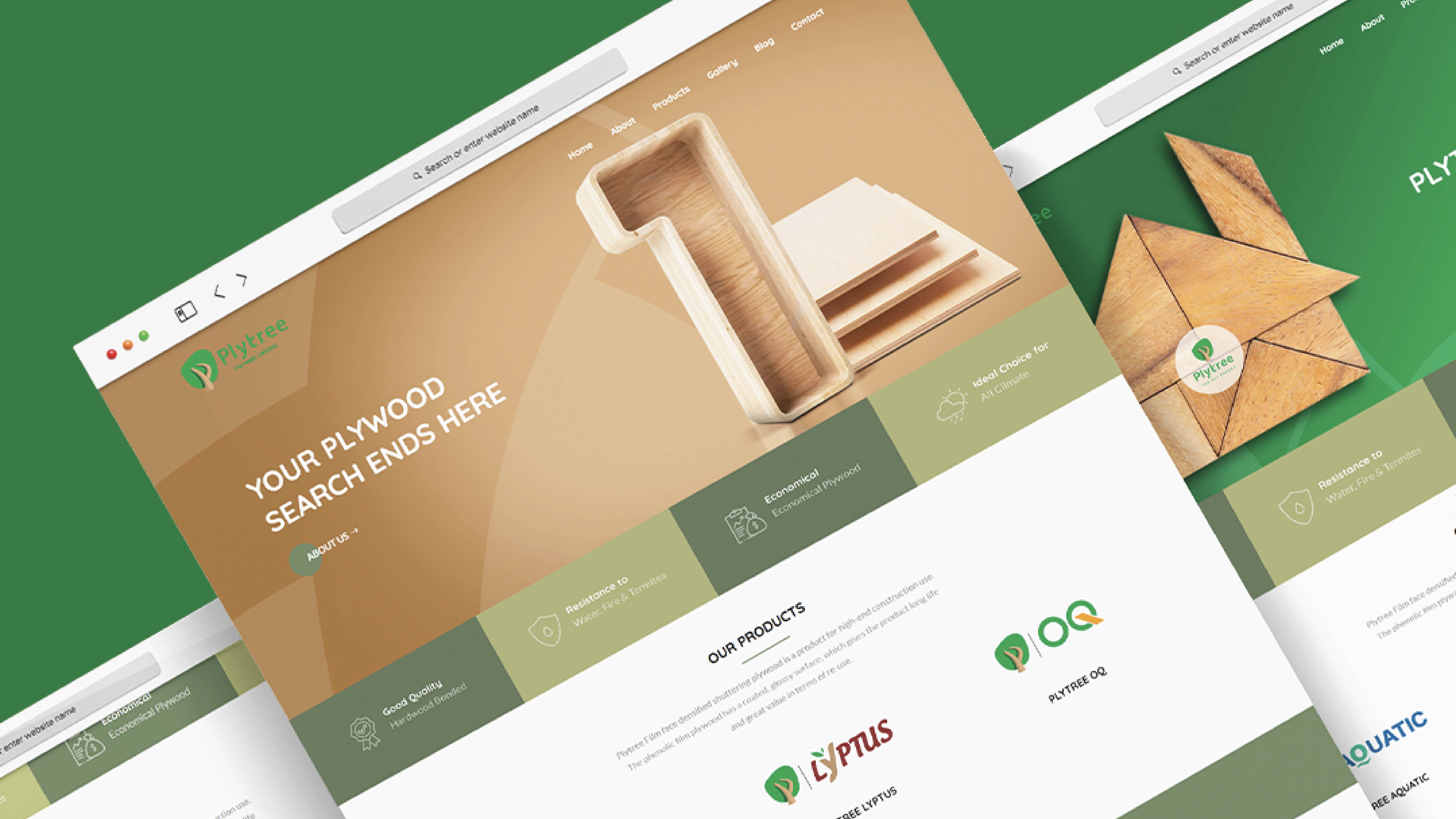 Portfolio Image